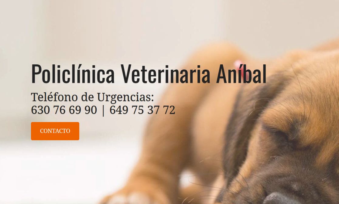 Policlínica Veterinaria Aníbal