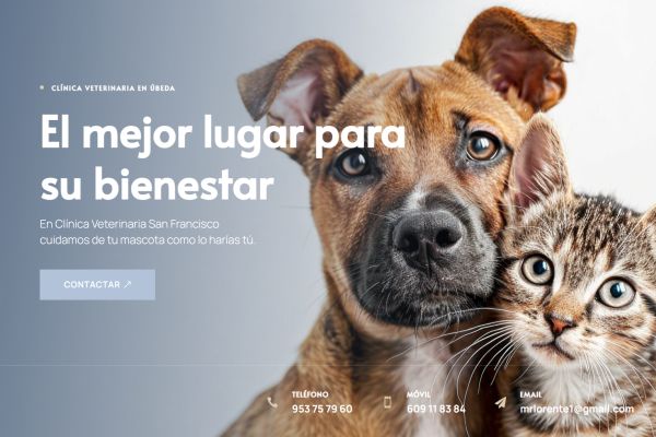 Clínica Veterinaria San Francisco